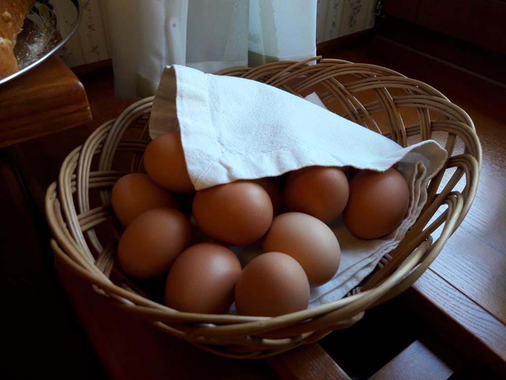 Špindlerŭv Mlýn 伊丽莎白旅馆酒店 外观 照片